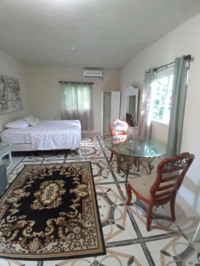 Grace Garden Guesthouse Ocho Rios Dış mekan fotoğraf